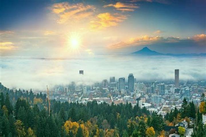 Willow, 27 — Escort in Portland, United States
