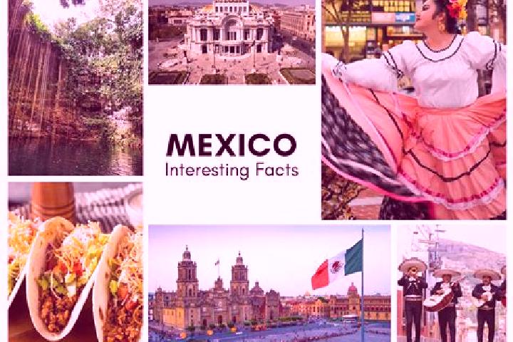 Willow, 27 — Escort in Saban, Mexico