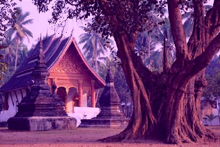 Willow, 27 — Escort in Xam Nua, Laos