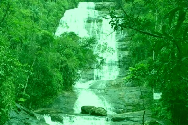 Willow, 28 — Escort in Dores do Rio Preto, Brazil