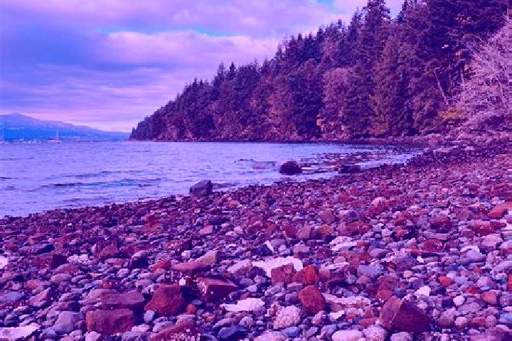 Willow, 28 — Escort in Gabriola, Canada