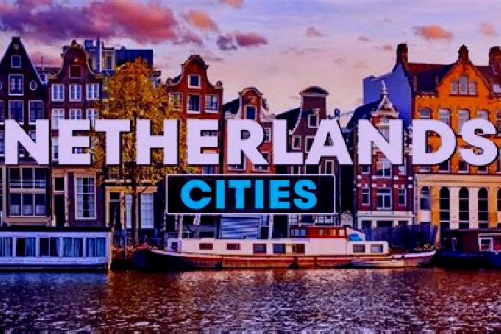 Willow, 28 — Escort in Goes, Netherlands