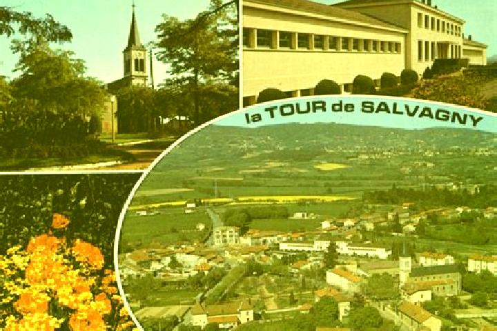 Willow, 28 — Escort in La Tour-de-Salvagny, France