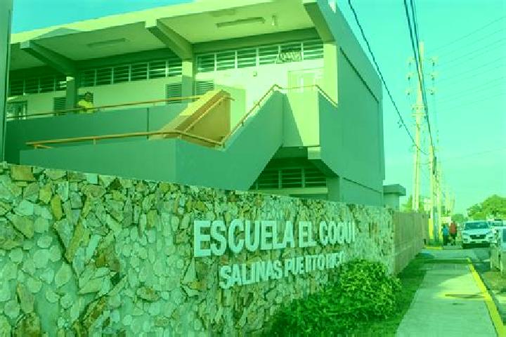 Willow, 28 — Escort in Monserrate, Puerto Rico