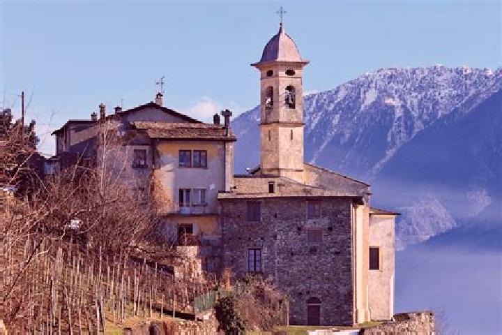 Willow, 28 — Escort in Ponte in Valtellina, Italy
