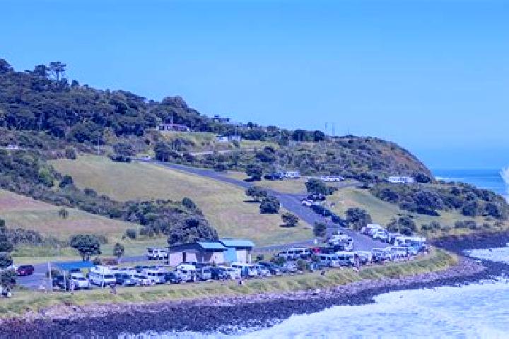 Willow, 28 — Escort in Raglan, New Zealand