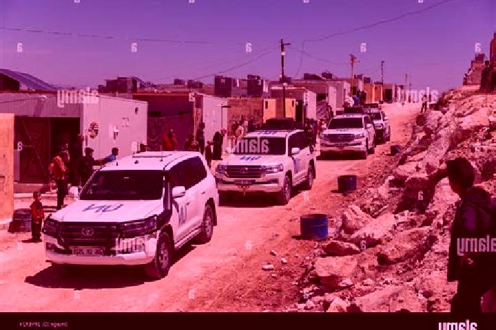 Willow, 28 — Escort in Salqin, Syria