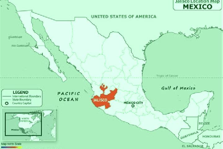 Willow, 28 — Escort in San Antonio de Fernandez, Mexico