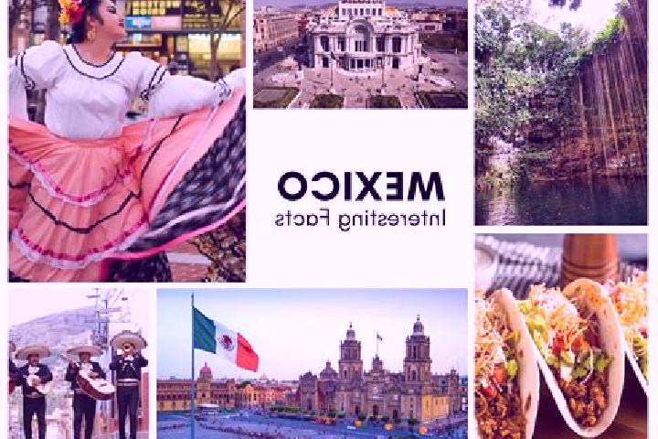 Willow, 28 — Escort in Xalacahuantla, Mexico