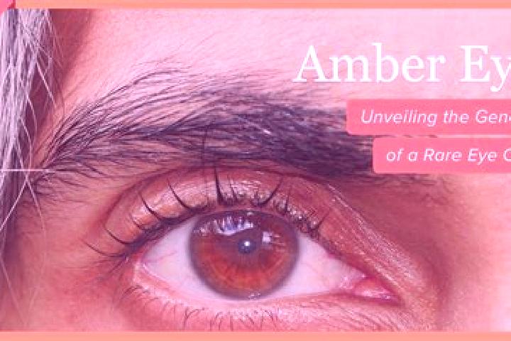 Willow, 29, a dark blonde amber-eyed caribbean companion based in Tappendorf. Offering CIM, 69, Travel Companion, OWO. Available for incall and outcall, day ...