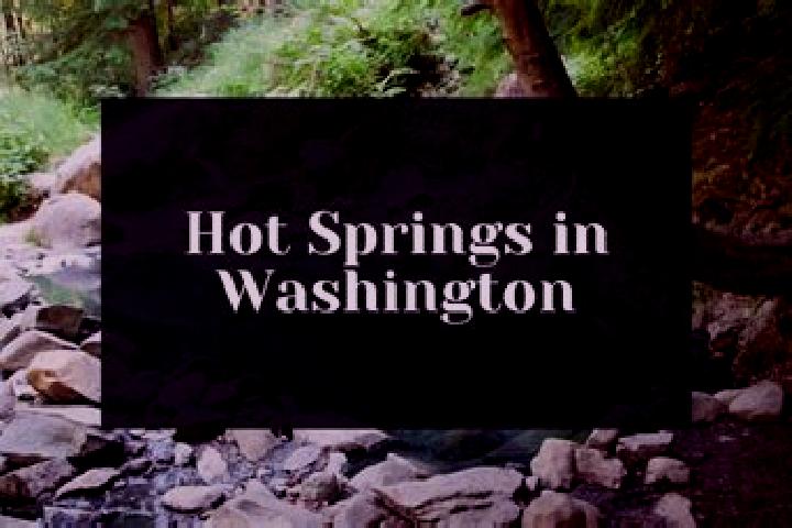Willow, 29 — Escort in Cluster Springs, United States