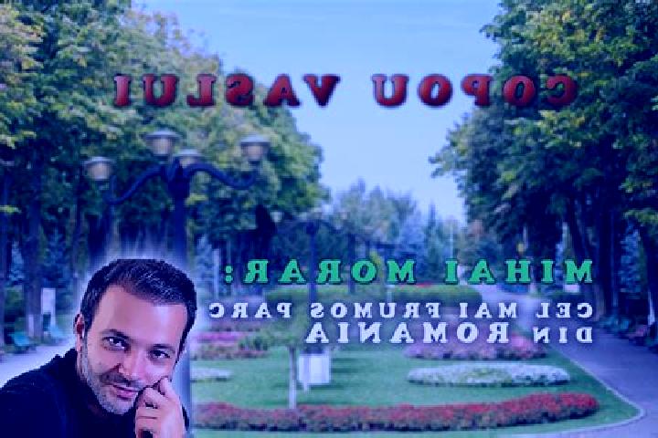 Willow, 29 — Escort in Codaesti, Romania