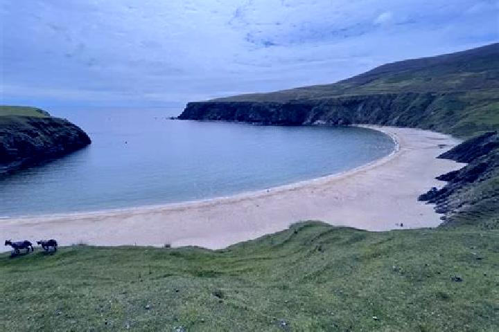 Willow, 29 — Escort in Dooagh, Ireland
