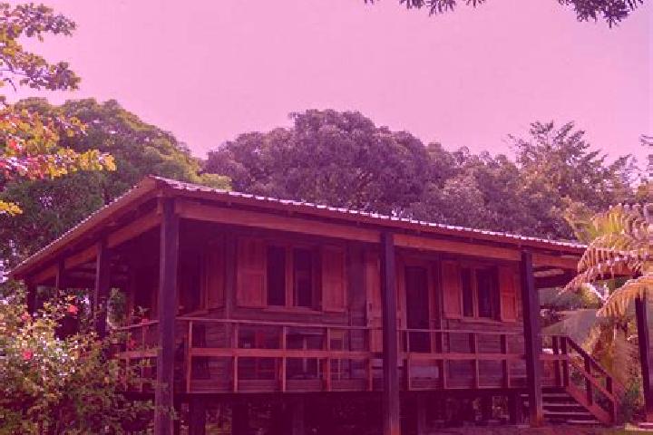 Willow, 29 — Escort in Kukra Hill, Nicaragua