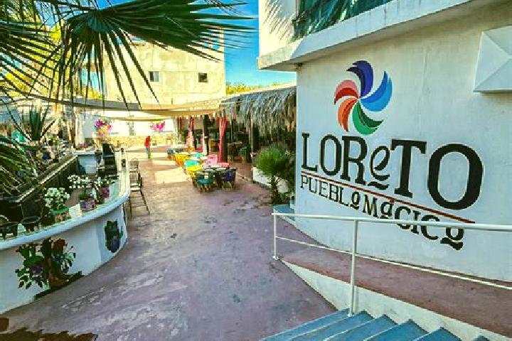 Willow, 29 — Escort in Loreto, Mexico