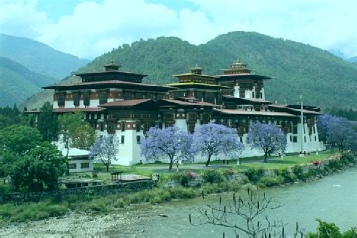 Willow, 29 — Escort in Mebisa, Bhutan