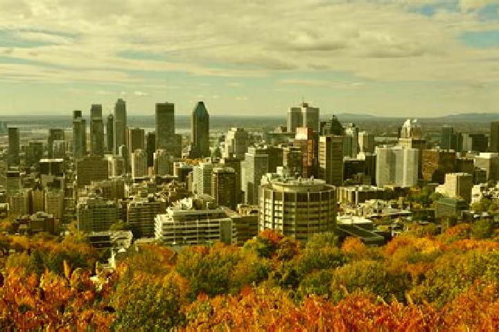 Willow, 29 — Escort in Mont-Royal, Canada