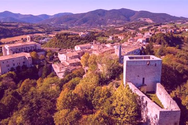 Willow, 29 — Escort in Morigerati, Italy