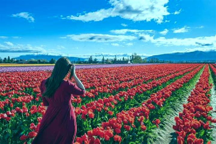 Willow, 29 — Escort in New Washington, United States