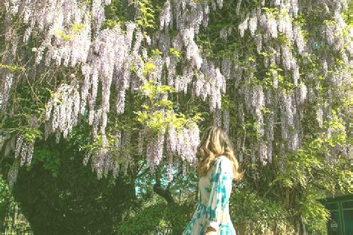 Willow, 29 — Escort in Schitu Scoicesti, Romania