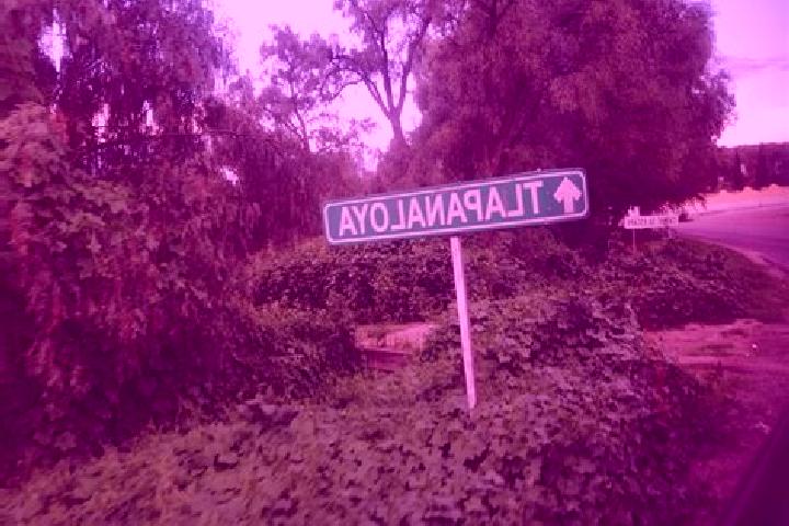 Willow, 29 — Escort in Tlapanaloya, Mexico
