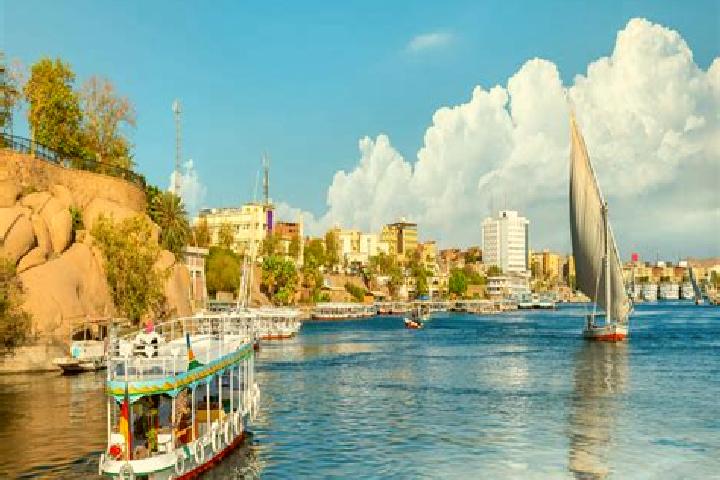Willow, 29 — Escort in Tukh, Egypt