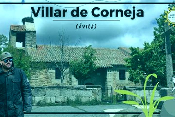 Willow, 29 — Escort in Villar de Corneja, Spain