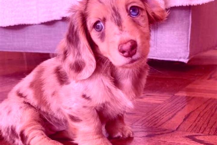 Willow, 30, a chestnut blue-eyed mixed companion based in Hamjago. Offering Deep French Kissing, Domination, Travel Companion. Available for incall and outca...