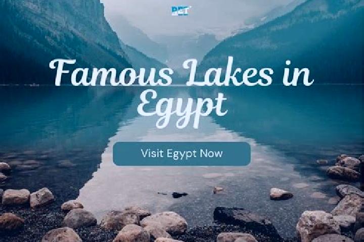 Willow, 30 — Escort in An Nubariyah, Egypt