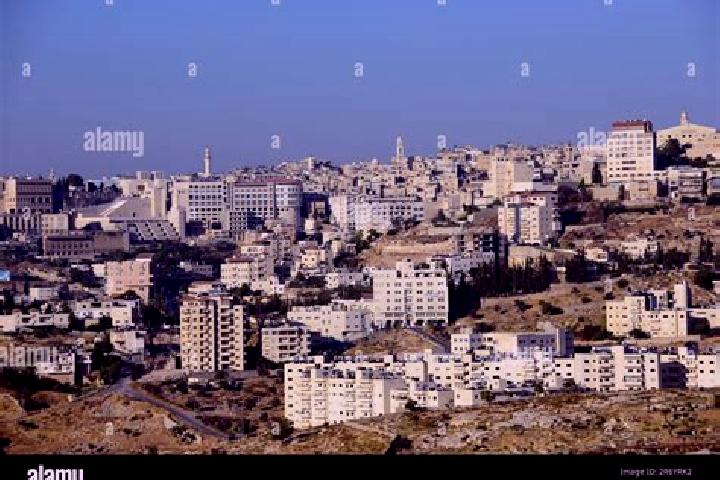 Willow, 30 — Escort in Bayt Sahur, Palestine
