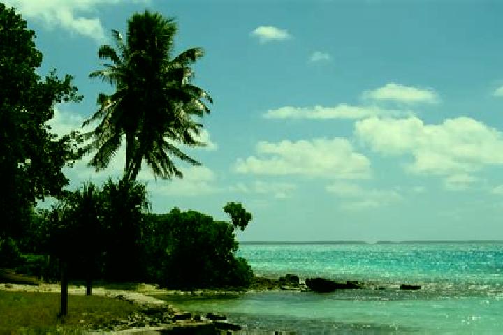 Willow, 30 — Escort in Betio Village, Kiribati