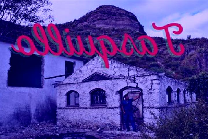 Willow, 30 — Escort in Danghu, Mexico