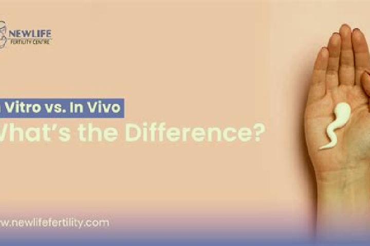 Willow, 30 — Escort in Jalalpore, India