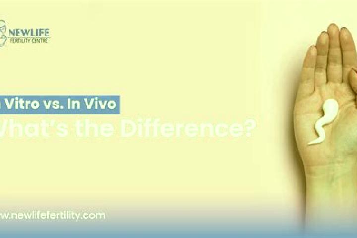 Willow, 30 — Escort in Nitakloang, Indonesia