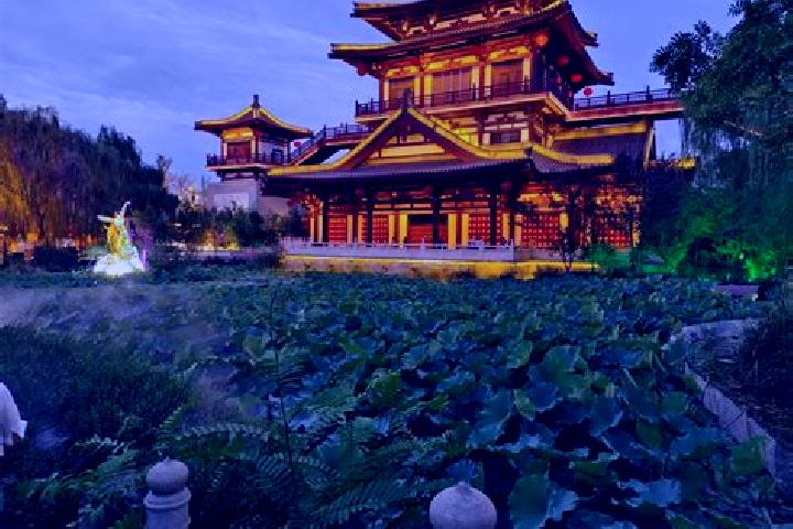 Willow, 30 — Escort in Shangyang, China
