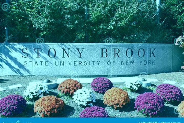 Willow, 30 — Escort in Stony Brook, United States