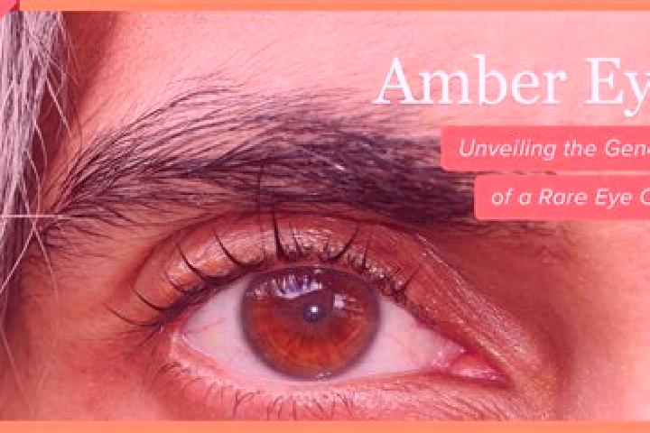 Willow, 31, a black amber-eyed european companion based in Strood. Offering Roleplay, OWO, A-Level. Available for incall and outcall, day and evening dates.