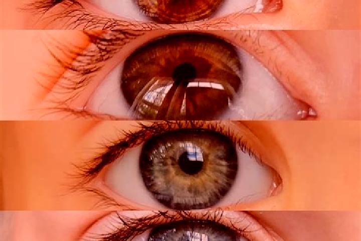 Willow, 31, a chestnut green-eyed middle eastern companion based in Busenhausen. Offering Domination, BDSM, OWO. Available for incall and outcall, overnight ...