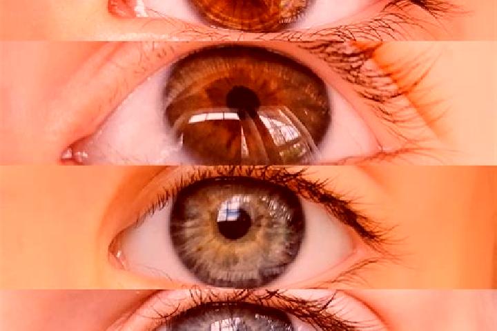 Willow, 31, a chestnut grey-eyed middle eastern companion based in Le Tilleul. Offering CIM, Fetish, 69, GFE. Available for incall and outcall, day and eveni...