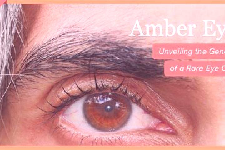 Willow, 31, a red amber-eyed caucasian companion based in Carabayllo. Offering Duos, Massage, 69. Available for incall and outcall, day and evening dates.