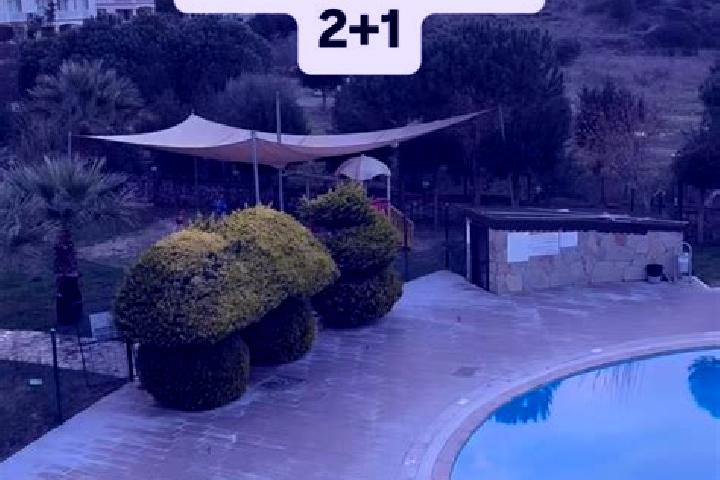 Willow, 31 — Escort in Bogazici, Turkey