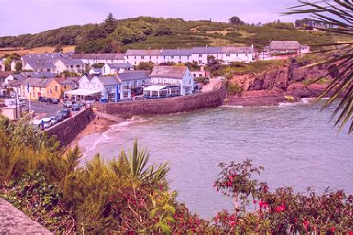 Willow, 31 — Escort in Dunmore East, Ireland