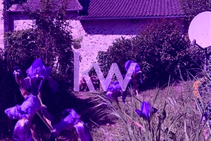 Willow, 31 — Escort in Linards, France