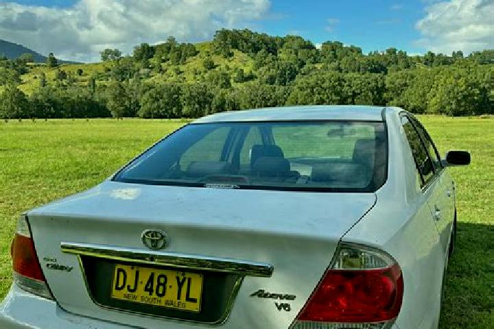 Willow, 31 — Escort in Modanville, Australia