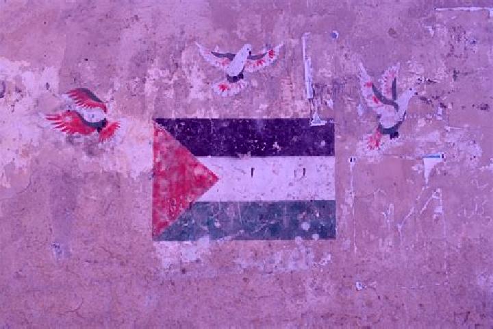 Willow, 31 — Escort in Nazlat ash Shaykh Zayd, Palestine