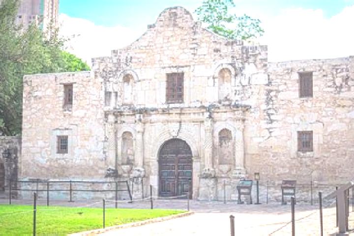 Willow, 31 — Escort in Privada del Alamo, Mexico