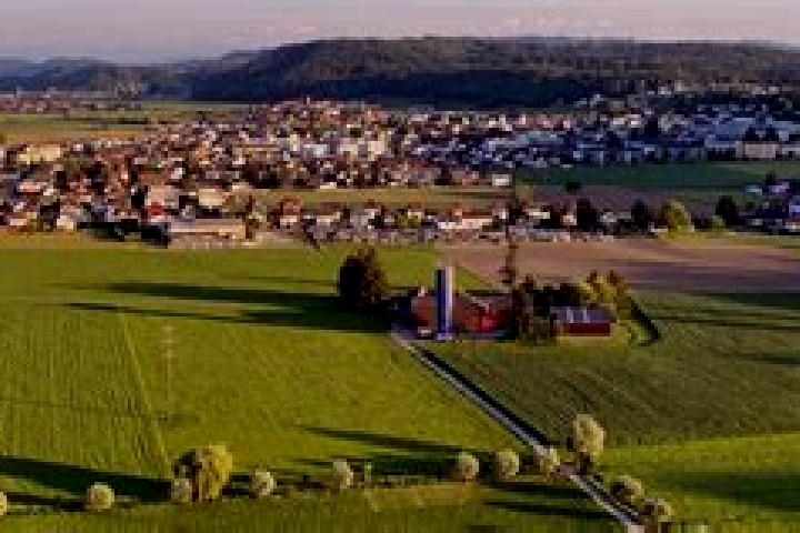 Willow, 31 — Escort in Strengelbach, Switzerland