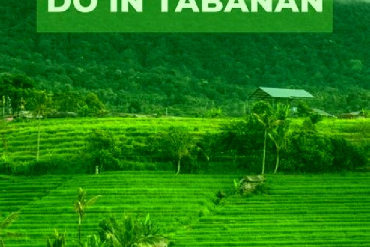 Willow, 31 — Escort in Tabanan, Indonesia