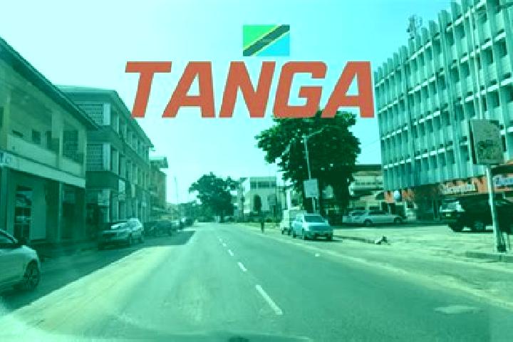 Willow, 31 — Escort in Tanga, Tanzania