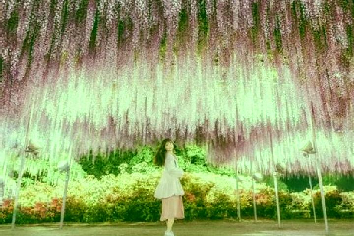 Willow, 32 — Escort in Ashikaga, Japan